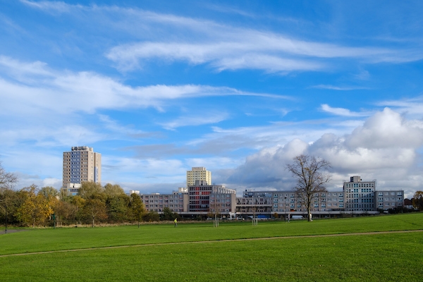 View of Lordship Rec with buildings in background